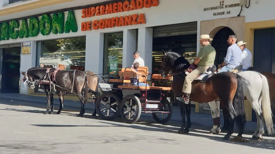 Supermercado Mercadona en Calle Duque de Ahumada, 10, Baena