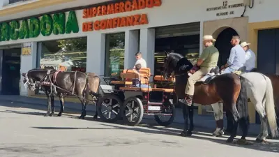 Mercadona Calle Duque de Ahumada, 10, Baena